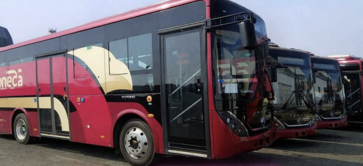 Victoria implementa transporte híbrido con aplicación móvil