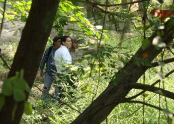 Plan de saneamiento: Tamaulipas evalúa riesgos y plagas en el río San Marcos