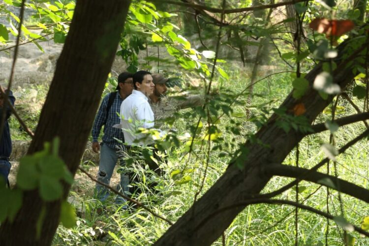 Plan de saneamiento: Tamaulipas evalúa riesgos y plagas en el río San Marcos