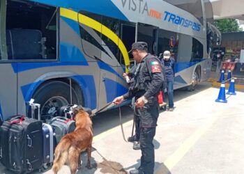 Fortalece Guardia Estatal vigilancia en central de autobuses