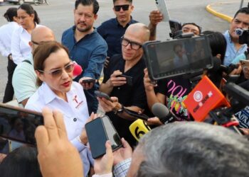 Casos de dengue en Tamaulipas: Estadísticas y prevención