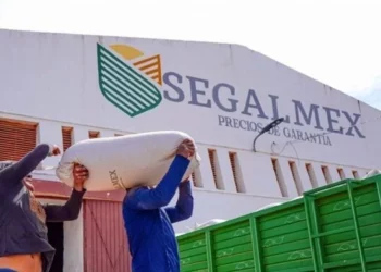Destapan más investigaciones en Segalmex
