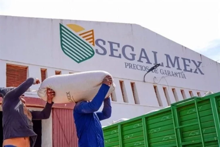 Destapan más investigaciones en Segalmex