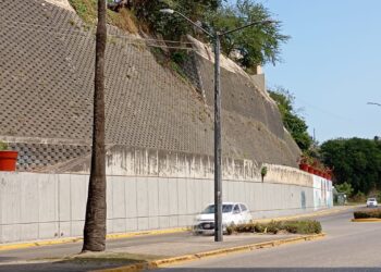 Revestirán talud en acceso al Puente Tampico