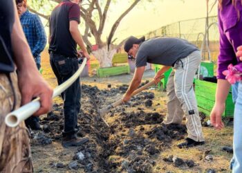 Huerto Sustentable UTM: Innovación en ingeniería y tecnología ambiental