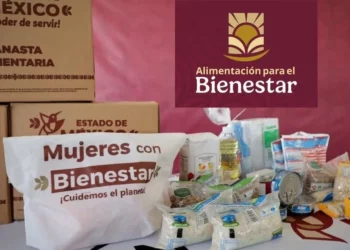 Pérdidas en AliBien superan 22 mil millones
