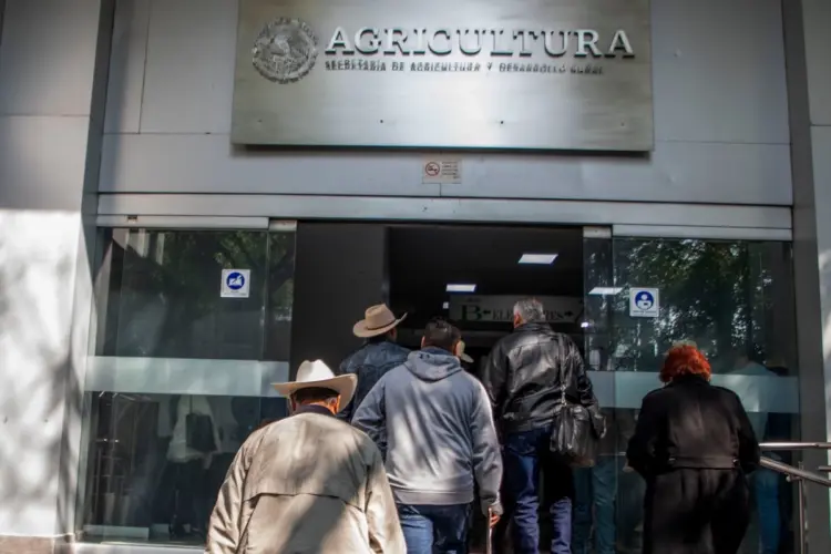 Productores mantienen presión sobre Gobierno