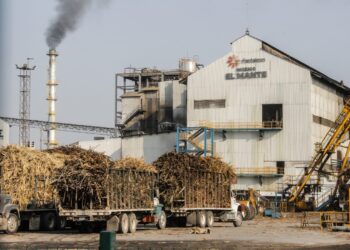 Impulso federal al sector cañero beneficiará a Tamaulipas