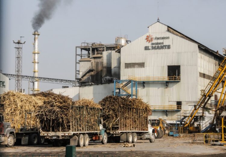 Impulso federal al sector cañero beneficiará a Tamaulipas