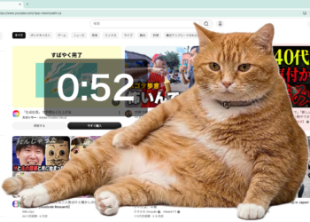 ¿Pasas mucho tiempo en redes? Este gato virtual interrumpe tu navegación para que descanses