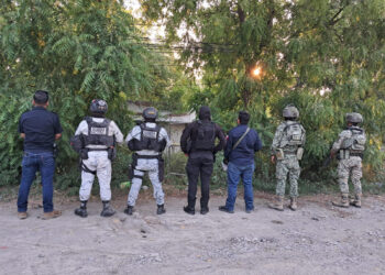 Decomisan droga durante operativo federal en El Mante