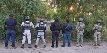 Decomisan droga durante operativo federal en El Mante