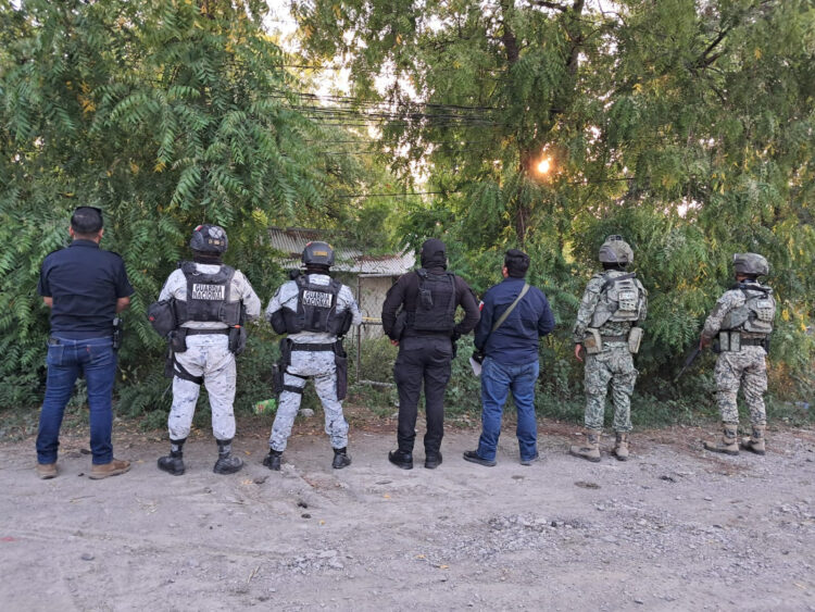 Decomisan droga durante operativo federal en El Mante