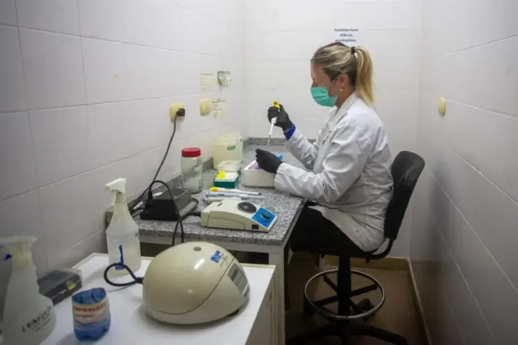 Opciones de titular OMS confirma hantavirus en crucero