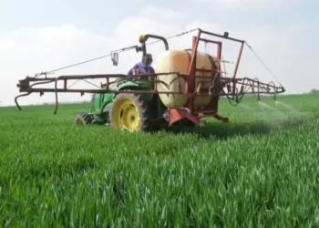 Brecha de subsidios agrícolas debilita al campo mexicano