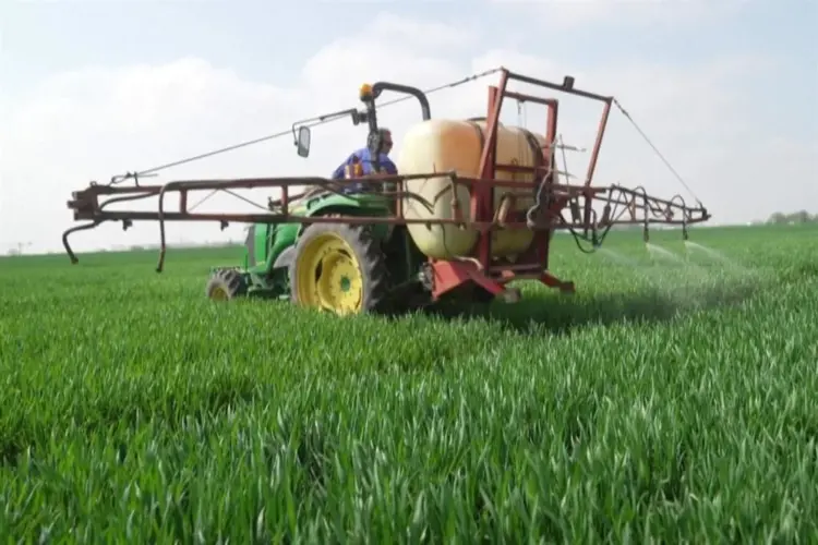 Brecha de subsidios agrícolas debilita al campo mexicano