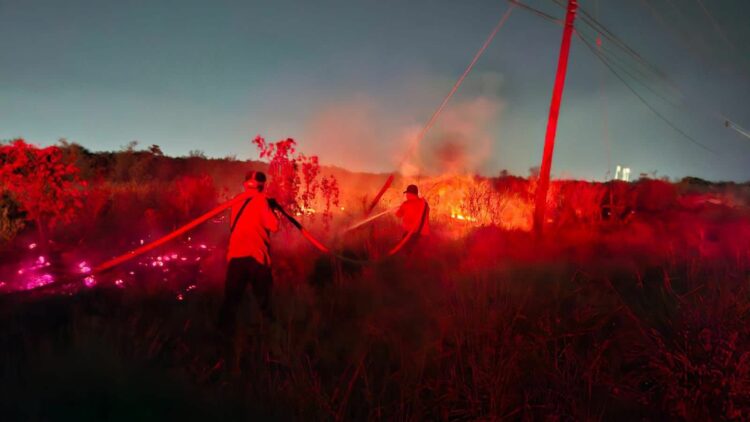 Sofocan incendio en Libramiento Naciones Unidas