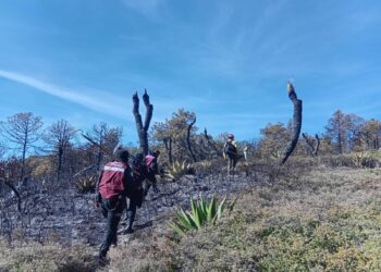 Incendio en Miquihuana registra 85 por ciento control