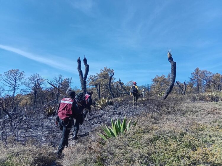 Incendio en Miquihuana registra 85 por ciento control
