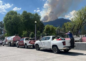 Incendio forestal afecta 69 hectáreas en Miquihuana