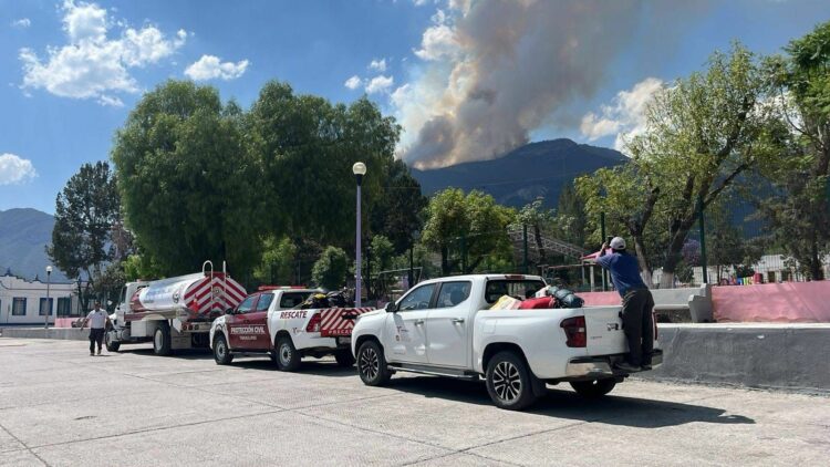 Incendio forestal afecta 69 hectáreas en Miquihuana