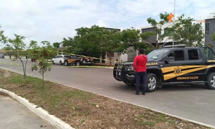 Reportan ataques y feminicidios en Mérida