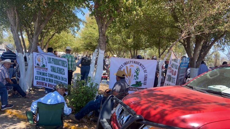 Productores agrícolas instalan plantón en la Segob