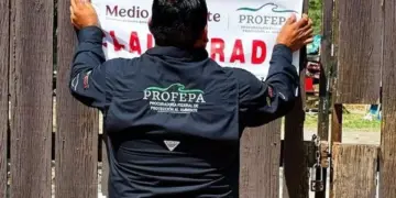 Adiós a Profepa: nace fiscalía de justicia ecológica