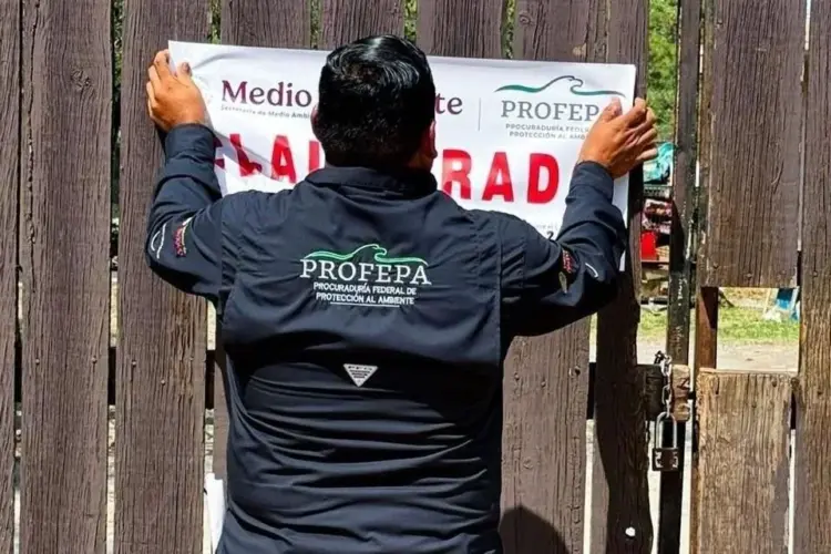 Adiós a Profepa: nace fiscalía de justicia ecológica