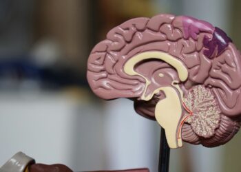 Hipertensión y salud cerebral: por qué bajar la presión a 120 protege tu memoria