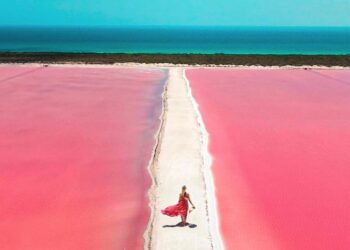 Cómo visitar Las Coloradas en Yucatán: horarios, precios y restricciones