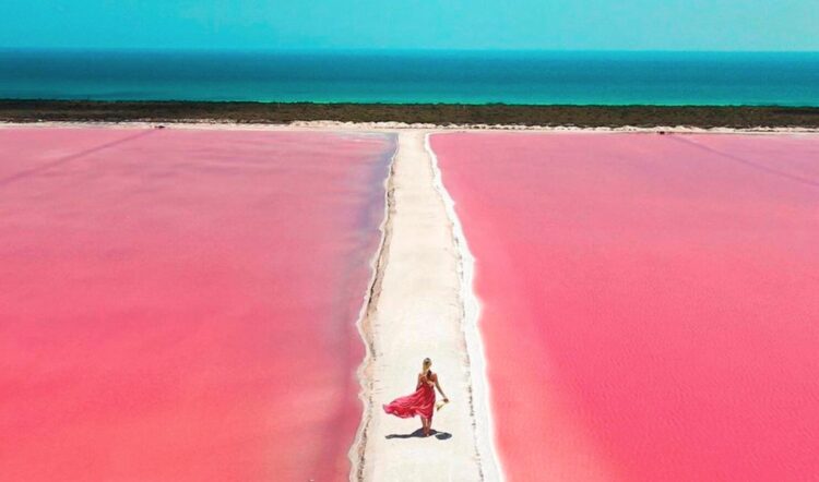 Cómo visitar Las Coloradas en Yucatán: horarios, precios y restricciones