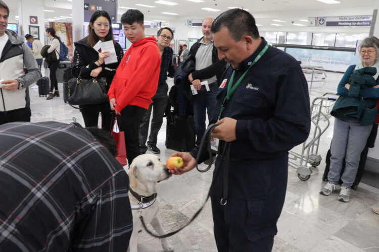 Senasica refuerza inspección a más de 5 millones de turistas durante la Copa Mundial