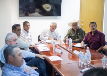 Alerta sanitara por brotes de enfermedad Cancro de los Cítricos en Tamaulipas