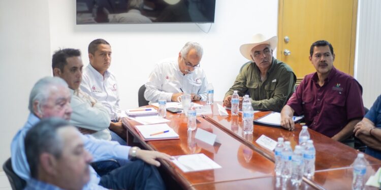 Alerta sanitara por brotes de enfermedad Cancro de los Cítricos en Tamaulipas