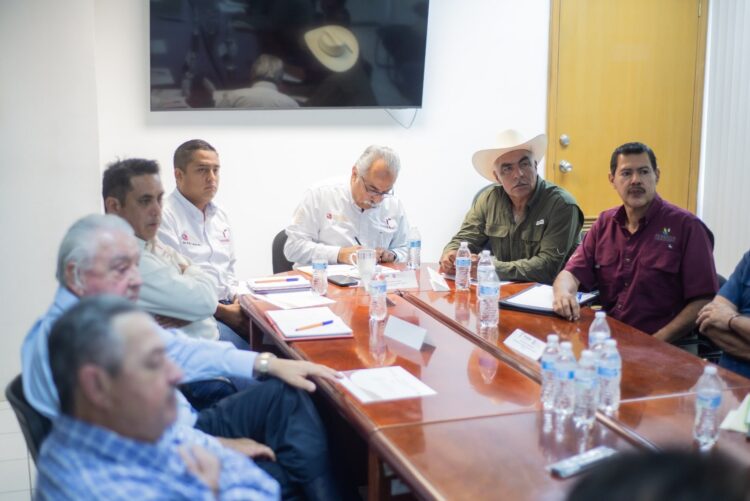 Alerta sanitara por brotes de enfermedad Cancro de los Cítricos en Tamaulipas