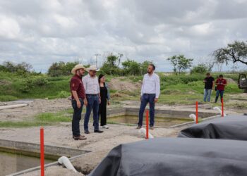 Exploran oportunidades para la producción de bioenergía en González