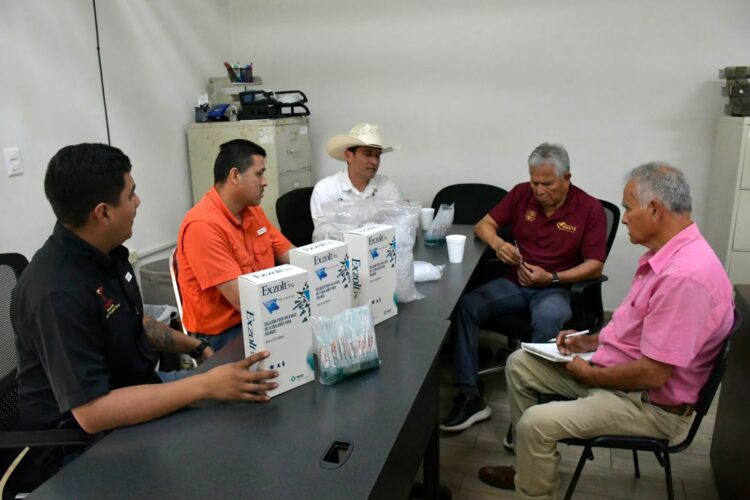 Activos 150 casos de gusano barrenador del ganado en 30 municipios de Tamaulipas