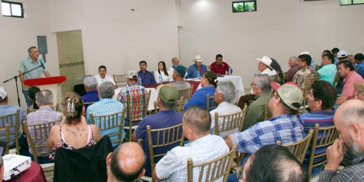 Promueven siembra de 3 mil hectáreas de frijol guar en Valle de San Fernando, Tamaulipas