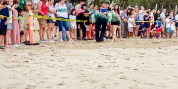 Participan familias en liberación de crías de tortuga lora en Soto la Marina, Tamaulipas