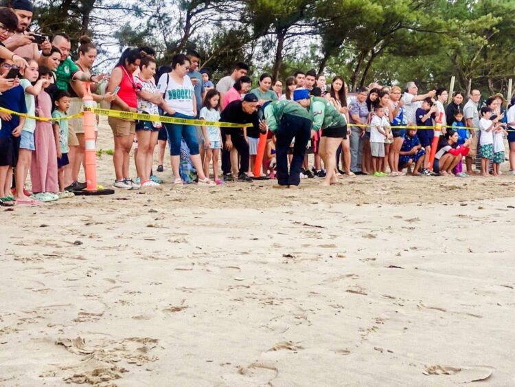 Participan familias en liberación de crías de tortuga lora en Soto la Marina, Tamaulipas