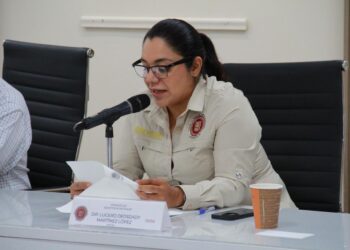 Diputadas llevarán al pleno iniciativa para corregir mala señalización vial de Gattás en Victoria