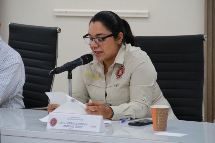 Diputadas llevarán al pleno iniciativa para corregir mala señalización vial de Gattás en Victoria