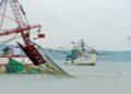 Arrancó 30 de mayo veda al camarón desde la desembocadura del río Bravo al Coatzacoalcos: CONAPESCA