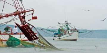 Arrancó 30 de mayo veda al camarón desde la desembocadura del río Bravo al Coatzacoalcos: CONAPESCA