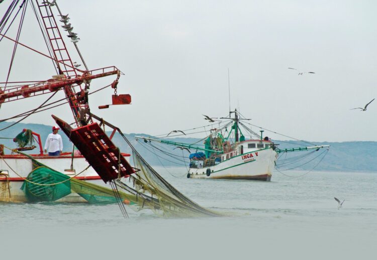 Arrancó 30 de mayo veda al camarón desde la desembocadura del río Bravo al Coatzacoalcos: CONAPESCA