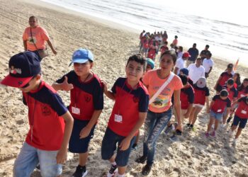 Niños de Güémez liberan crías de tortuga lora en playas de Soto la Marina