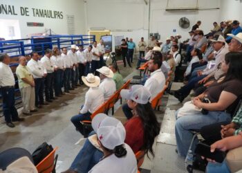 Impulsan UAT- URGT y Gobierno alianza para la productividad de la ganadería tamaulipeca