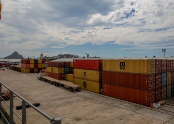 México incrementa 4.5% exportaciones agroalimentarias a Ecuador