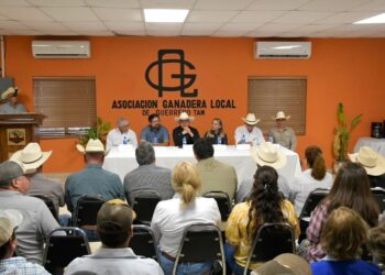 Llevan el Programa de Mejoramiento Genético a Nueva Ciudad Guerrero, Tamaulipas